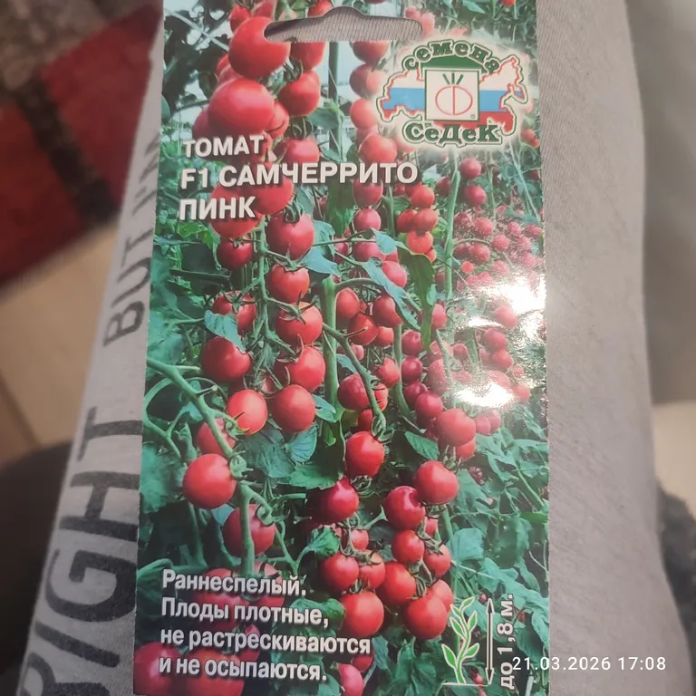 Самчеррито Пинк