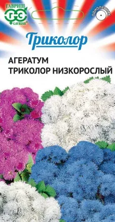 Агератум Триколор низкорослый