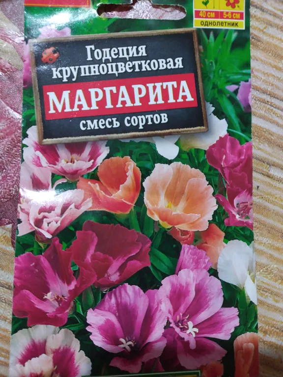 крупноцветковая Маргарита (смесь сортов)