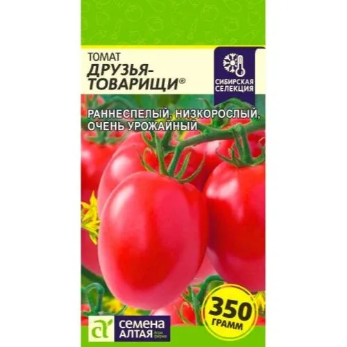 Томат Друзья-товарищи