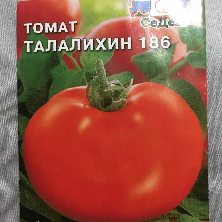Томат Талалихин 186