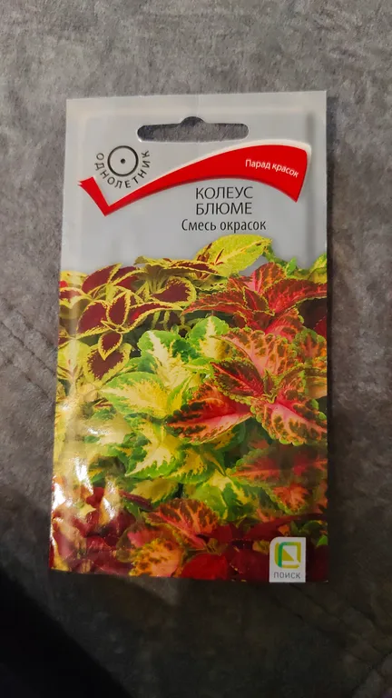 Колеус Блюме Смесь окрасок