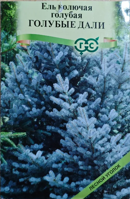 Ель Голубые дали