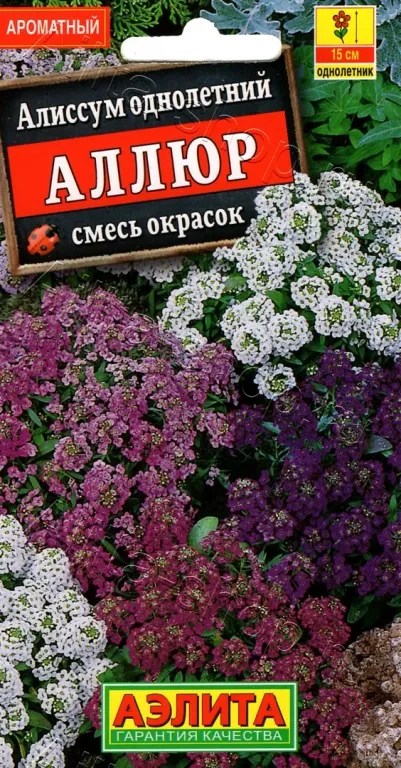 Алиссум Аллюр смесь сортов