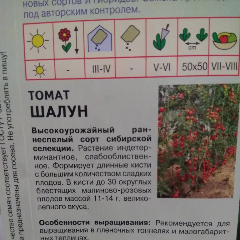 Томат Шалун