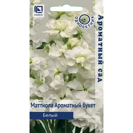 Маттиола Ароматный букет белый