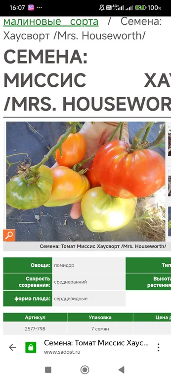 Томат Миссис Хаусворт