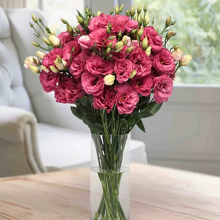 Эустома Кан Кан кармин роуз