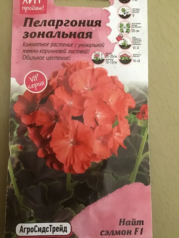 Пеларгония Найт Салмон F1