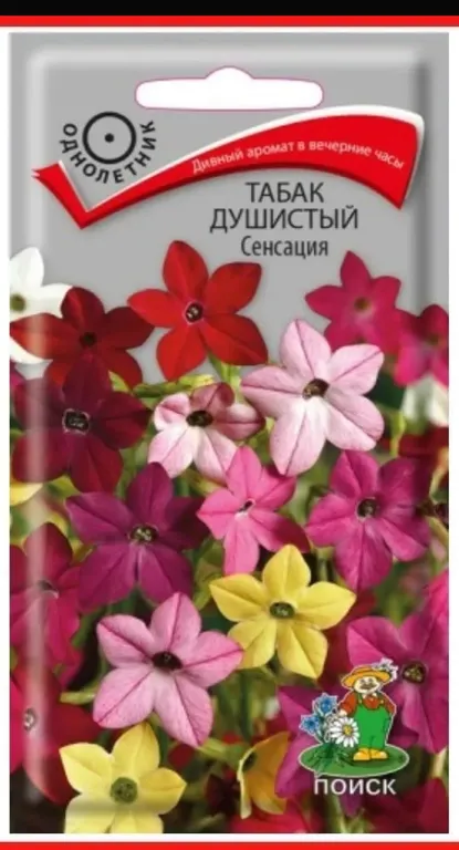 Душистый Табак Сенсация (смесь)