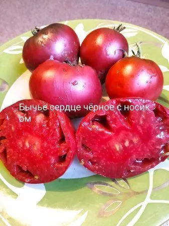 Томат Бычье Сердце черное с носиком