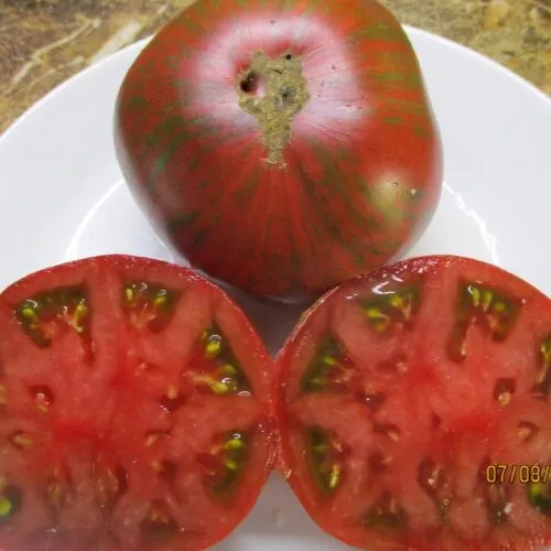 Томат Фредс Тай Дай Гном