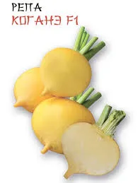 Репа Коганэ F1