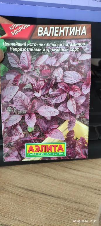 Амарант овощной Валентина