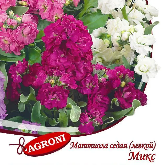 Левкой Микс