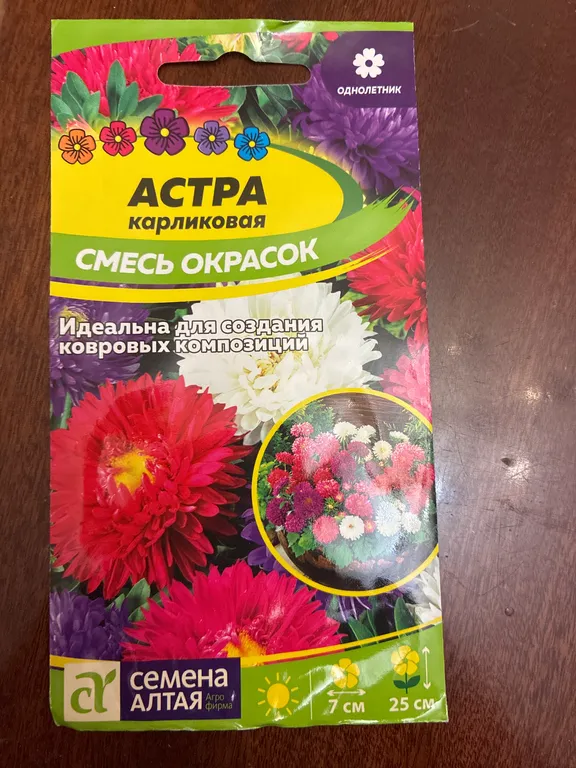 Астра карликовая Смесь окрасок