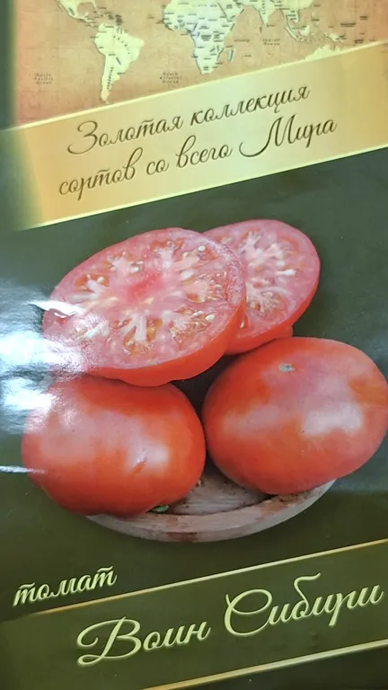 Томат Воин Сибири