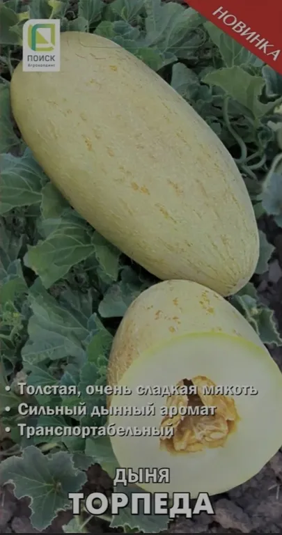 Торпеда