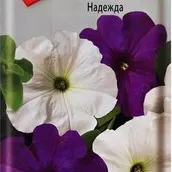 Петуния Надежда гибридная