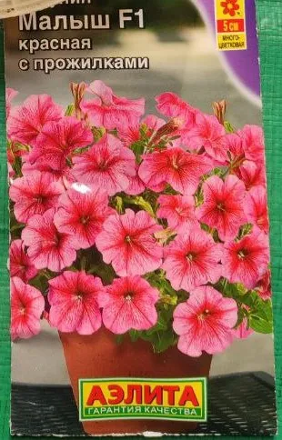 Петуния Малыш F1 красная с прожилками