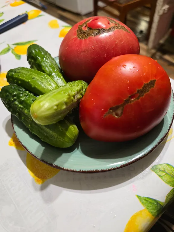 Томат Розово-малиновые