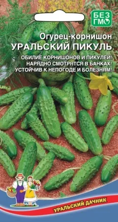 Огурец Уральский пикуль