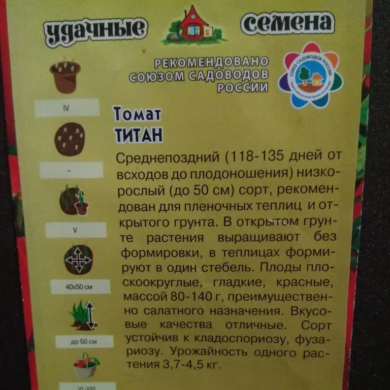 Томат Титан