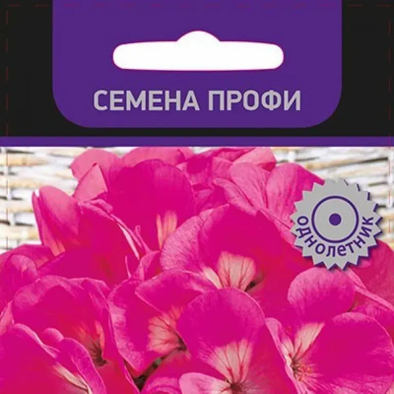 Пеларгония Маверик Пурпурная