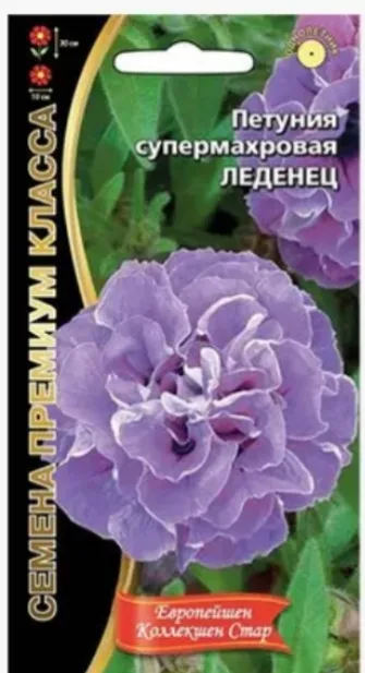 Леденец супермахровая