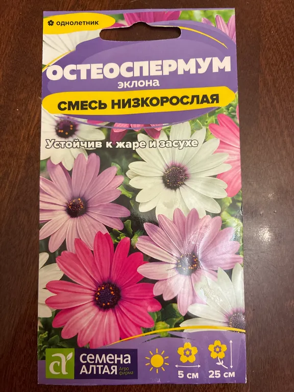 Остеоспермум Эклона низкорослая смесь