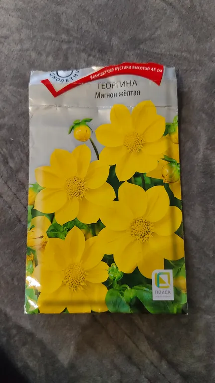 Георгина Мигнон жёлтая