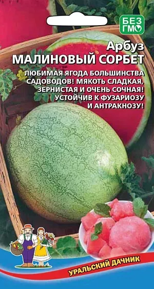 Арбуз Малиновый сорбет