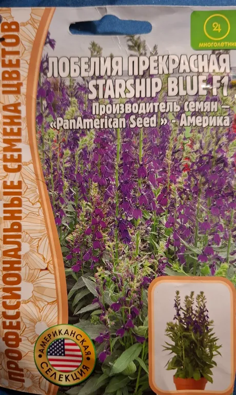 Лобелия прекрасная Старшип F1 Блу 