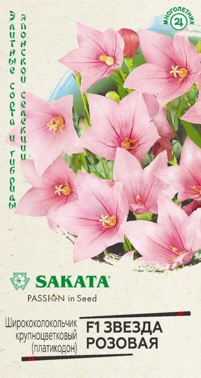 Ширококолокольчик крупноцветковый ( платикодон) F1 "Звезда розовая"