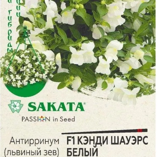 Антирринум (львиный зев) F1 Кэнди шауэрс белый