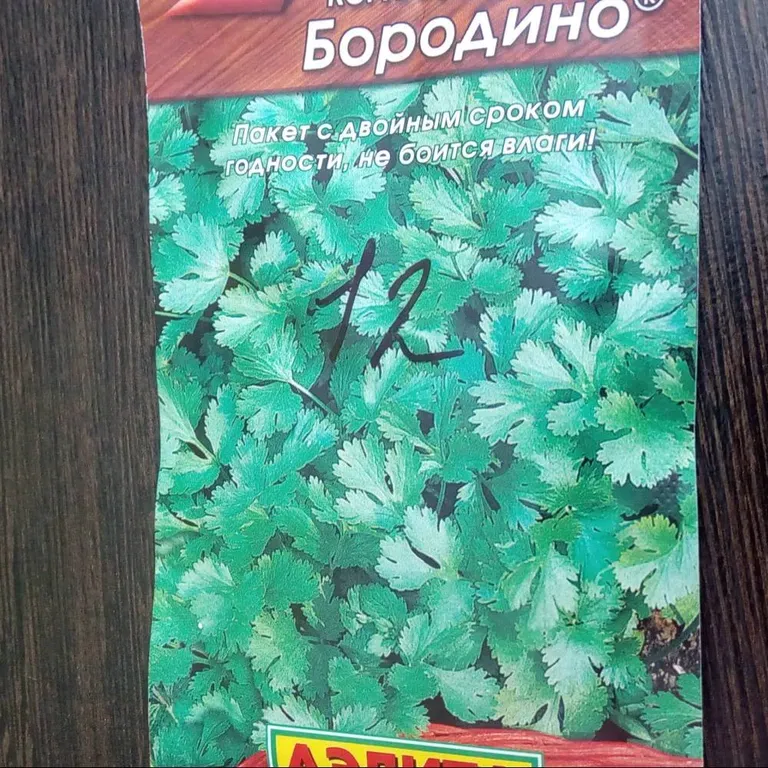 Кориандр овощной Бородино
