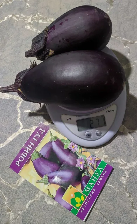 Баклажан Робин гуд