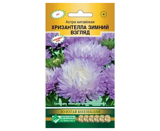 Астра китайская Хризантелла Зимний взгляд 
