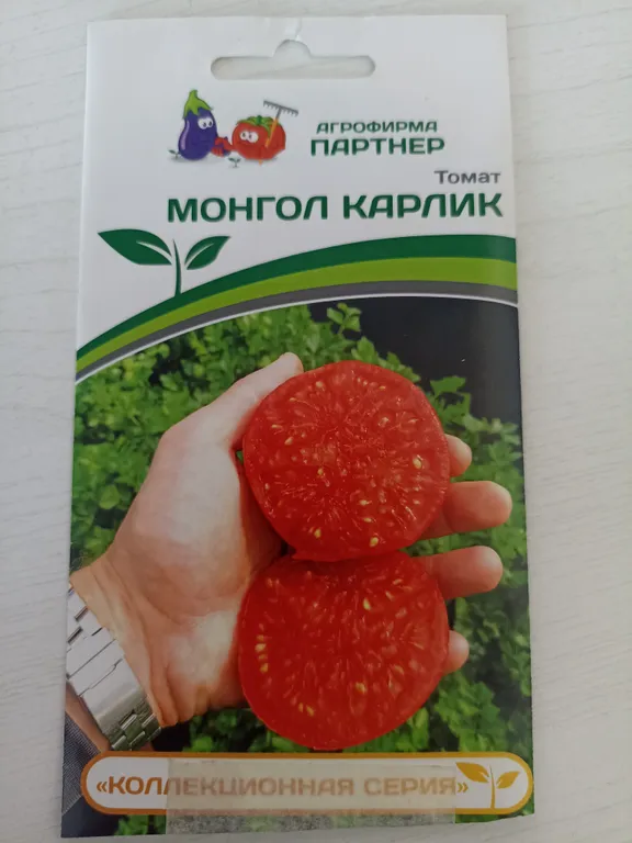 Монгол Карлик