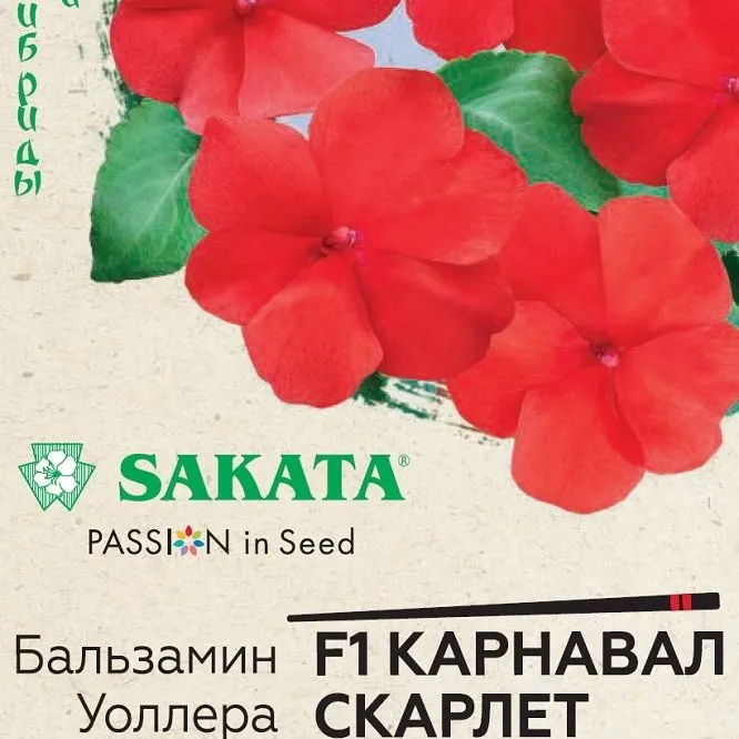 Бальзамин Уоллера Карнавал Скарлет F1