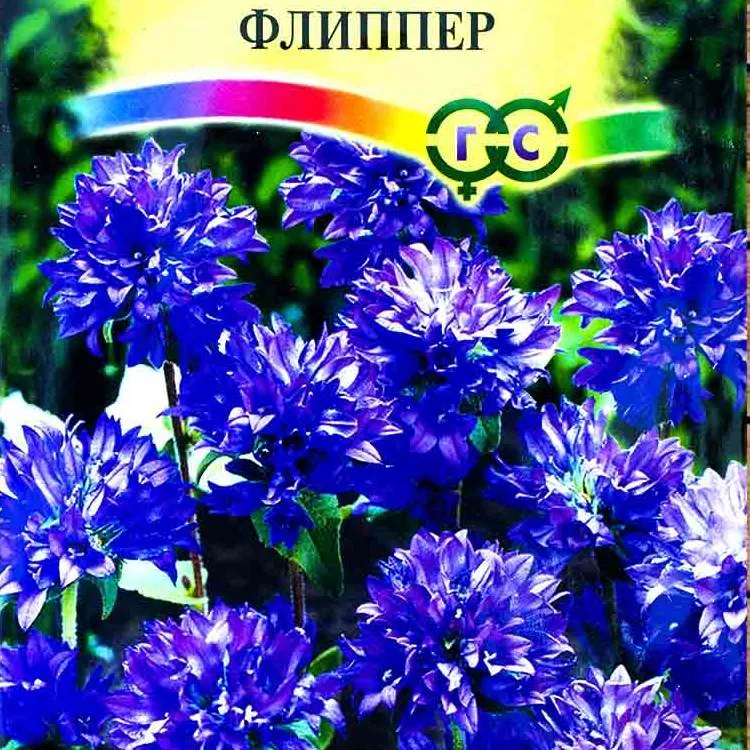 Колокольчик Флиппер