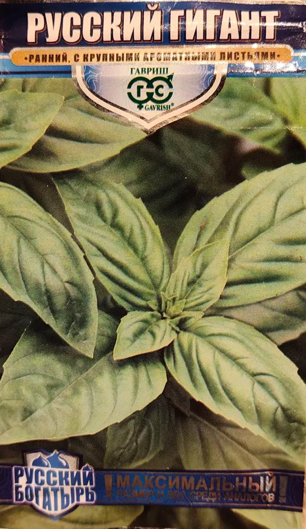 Базилик Русский гигант Зеленый