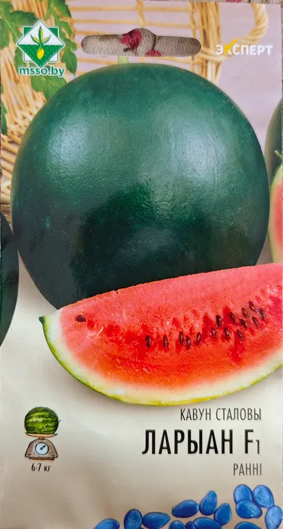 Арбуз Лориан