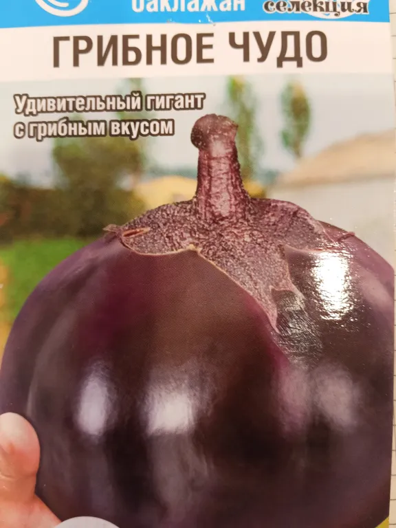 Баклажан Грибное чудо