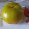 Томат Ярсон 1