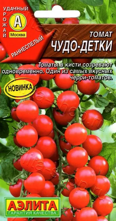 Томат Чудо детки