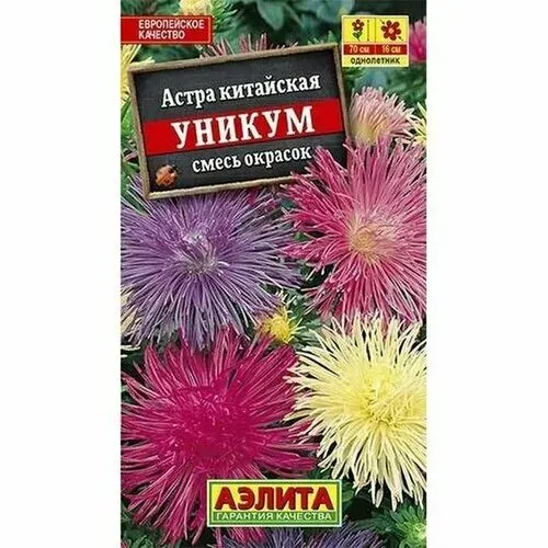Астра Уникум, смесь окрасок