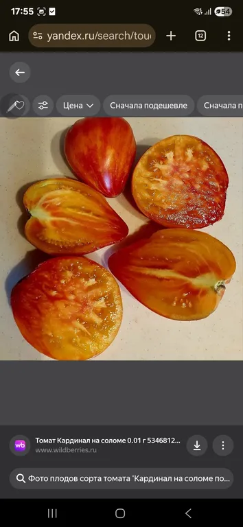 Томат Кардинал на соломе полосатый