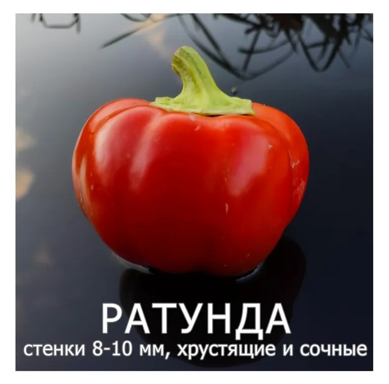 Перец сладкий Ратунда красная