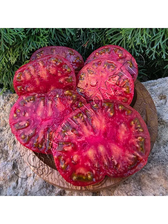 Томат Чумацкий Шлях